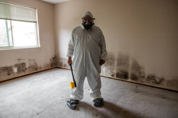 Best Bathroom Mold Remediation in Waveland, MS